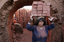 egypt jobs