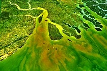 ganges delta satellite image