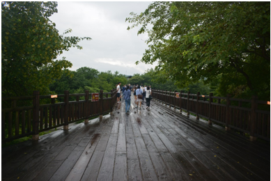 Photo 2: The wooden Freedom Bridge in Imjingak (Photo by Purvaja Modak)