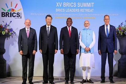 BRICS India website