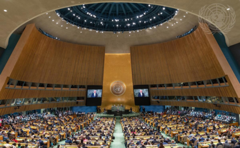 Website articles  (6)