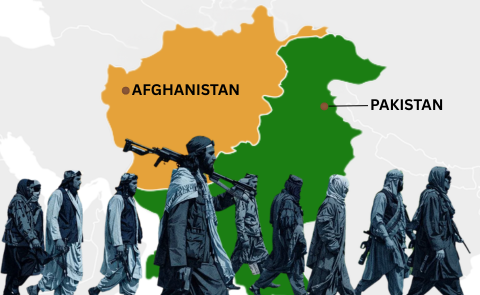 Website articles  (25)