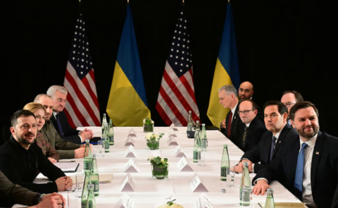 Website articles  (35)