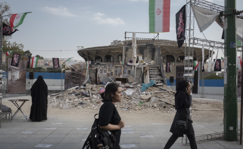 Website articles  (11)