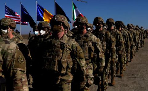 Website articles  (55)