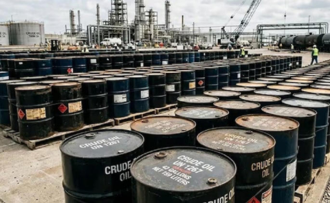 Website articles  (60)