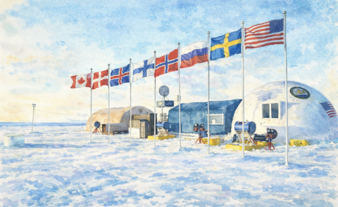 Website articles  (62)