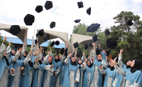 Website articles  (71)