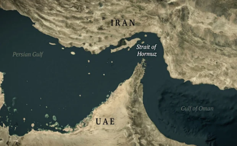 Website articles  (73)