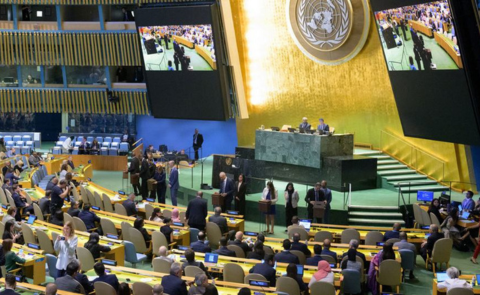 UNSC Elections